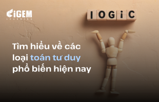 Tìm hiểu các loại toán tư duy phổ biến hiện nay. Nên lựa chọn phương pháp học nào cho phù hợp với trẻ ?